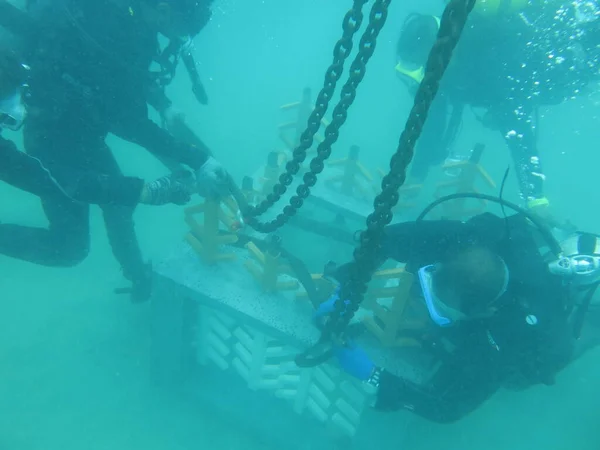 Terengganu, Malezya - 20 Haziran 2020: Redang Adası 'ndaki mercan resiflerinin taksitlendirilmesi