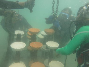 Terengganu, Malezya - 20 Haziran 2020: Redang Adası 'ndaki mercan resiflerinin taksitlendirilmesi