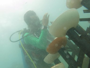 Terengganu, Malezya - 20 Haziran 2020: Redang Adası 'ndaki mercan resiflerinin taksitlendirilmesi