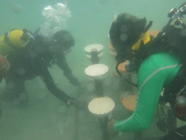 Redang Adası 'ndaki mercan kayalıklarında yapay resifin taksiti.