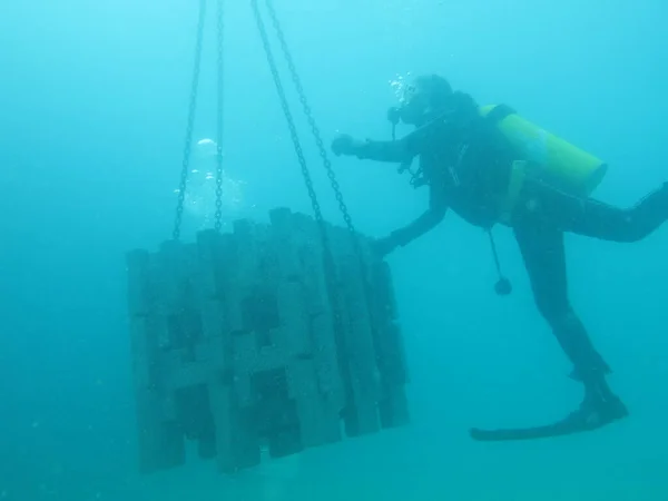 Installment Artificial Reef Coral Reef Area Redang Island — Stock Photo, Image