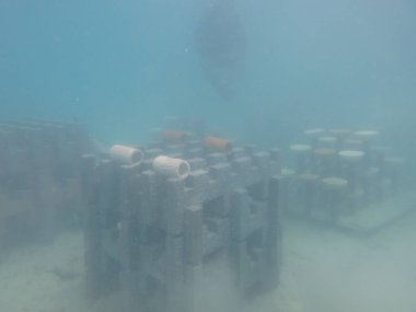 Malezya 'nın Redang adasına yapay resif yerleştirildi.