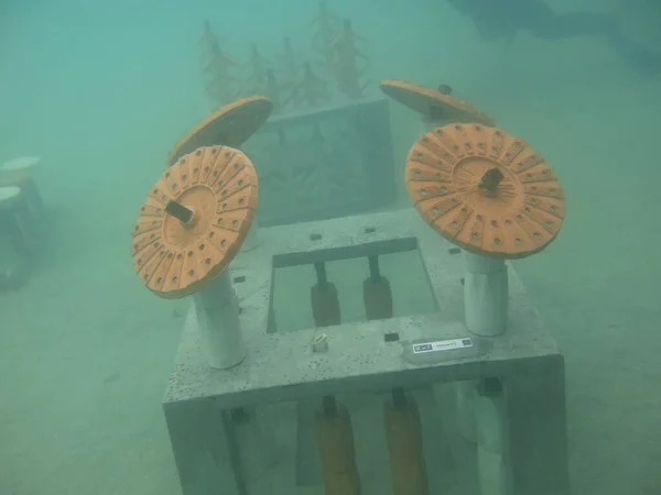 Artificial Reef Deployed Redang Island Malaysia — Stock Photo, Image