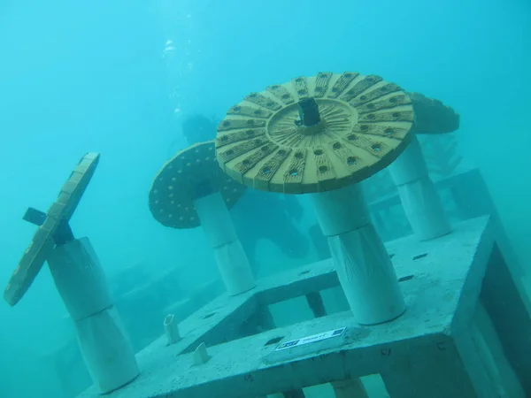 Barriera Corallina Artificiale Schierata Redang Island Malesia — Foto Stock