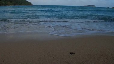 Malezya 'daki adanın dalgalı ve kristal mavisi suyuyla sahili.