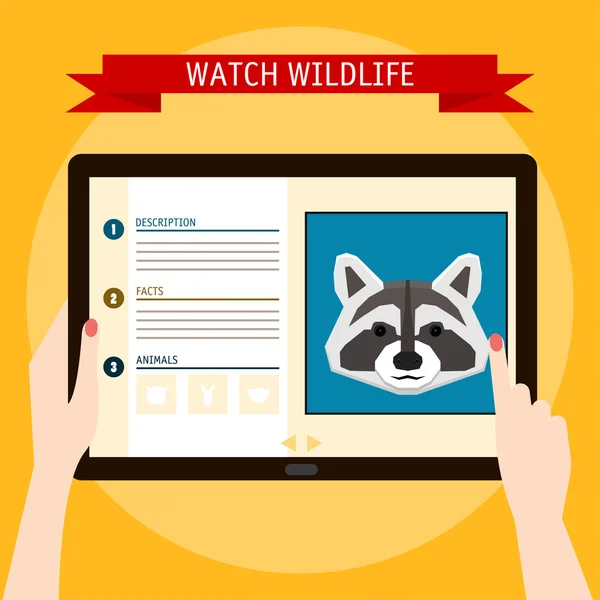 Ρακούν cartoon πορτρέτο και ιστοσελίδα για την άγρια ζωή. Ψηφιακή καρτέλα — Διανυσματικό Αρχείο