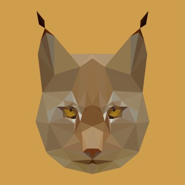 Poligonal soyut geometrik lynx arka plan