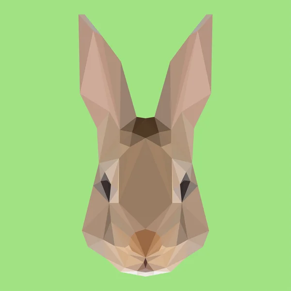 Veelhoekige abstracte meetkundige driehoek konijn achtergrond — Stockvector