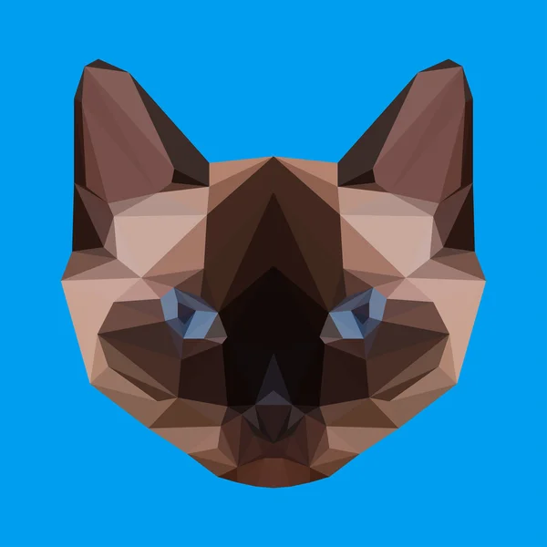 Fondo de Gato siamés poligonal triángulo geométrico abstracto para su uso en diseño — Vector de stock