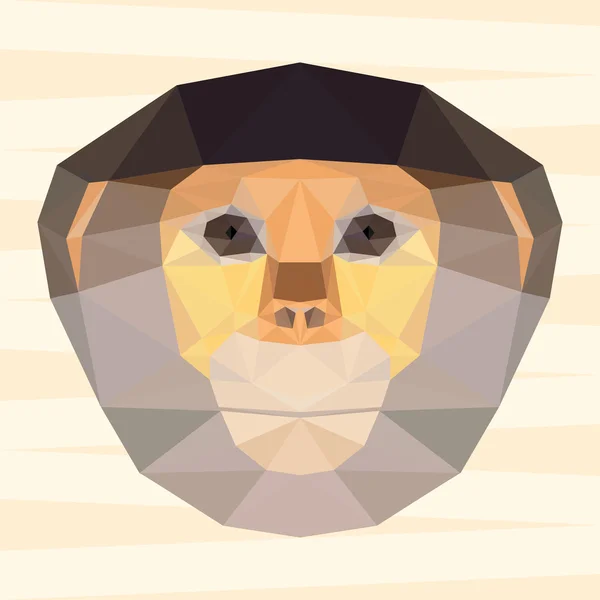 Abstract polygonal geometric red-shanked langur portrait for use in design for card, invitation, poster, banner, placard or billboard background — стоковый вектор