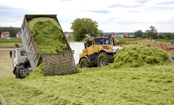 Descarga de masa verde y compactación de ensilado — Foto de Stock