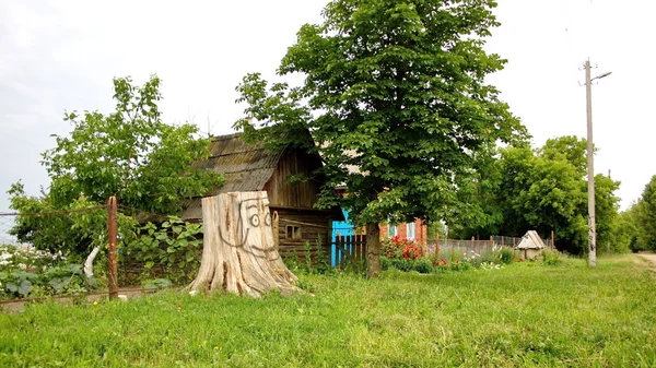 Souche d'arbre rustique amusant — Photo