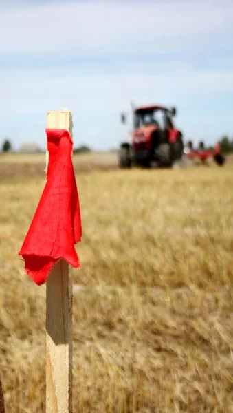 Marca vermelha na borda do campo — Fotografia de Stock