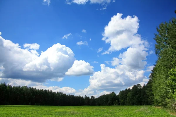 Céu, nuvens e campo de primavera — Fotografia de Stock