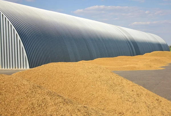 Almacenamiento y grano — Foto de Stock