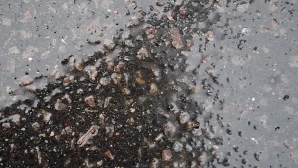 Siyah Yol Yüzeyine Damlayan Yağmur Damlaları Hafif Çakıl Taşları Ezilmiş — Stok video