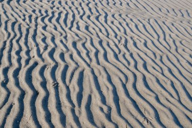 Deniz kıyısında, dalgalı gri kum tepeciklerinin dalgalı yüzeyi alçak tepeciklerden oluşan dalgalı zikzaklar ve kuş izlerinden oluşan küçük çakıl taşları. Doğal kumlu arka plan.