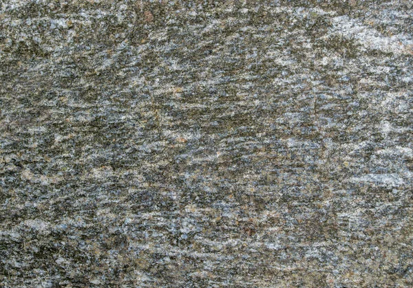 Gri granit bir taşın yüzeyinde yeşil ve kahverengi noktalar, çizgiler, düzensizlikler, oyuklar ve soyut desenler oluşturan adalar var. Mineral doğal arkaplan.