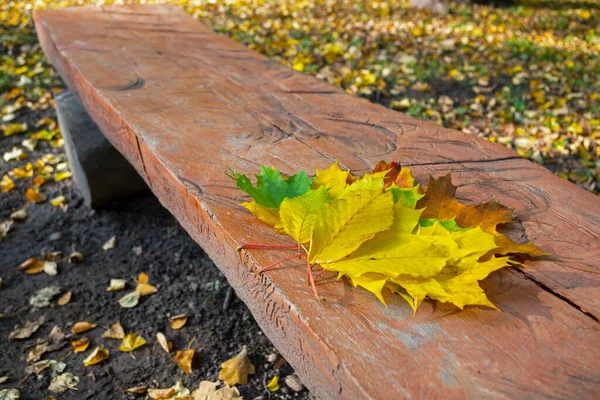 Bukett Orange Röda Gula Och Gröna Höstlöv Lind Och Lönn — Stockfoto