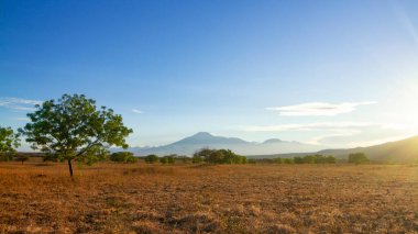 Savana Bekol 'da gün batımı, Baluran Ulusal Parkı, Situbondo, Doğu Java, Endonezya