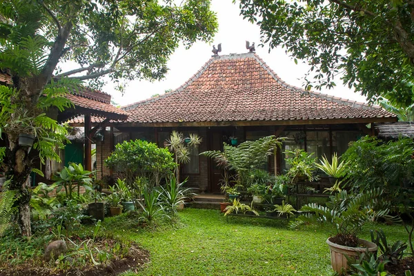 Traditionell Javanesisk Joglo Hus Eller Rumah Joglo Stockbild