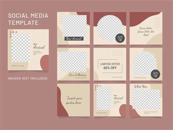 Puzzle Feed Template Mode Femmes — Image vectorielle