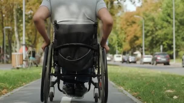 Gehbehinderter Mann Rollstuhl Der Parkallee — Stockvideo