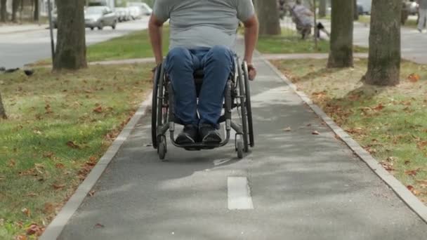 Gehbehinderter Mann Rollstuhl Der Parkallee — Stockvideo