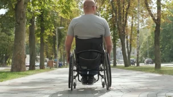 Bezbariérový Muž Invalidním Vozíku Procházka Parku Uličky — Stock video