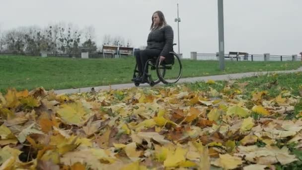 Человек Инвалидной Коляске Выходит Улицу — стоковое видео