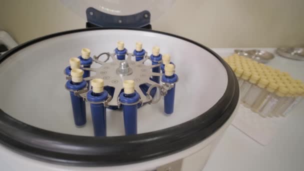 Preparazione Plasma Ricco Piastrine Tubo Con Mani Insanguinate Centrifuga Contesto — Video Stock