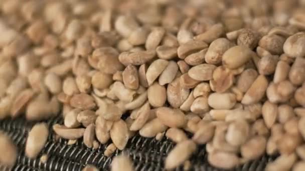 Roasting Peanuts Sorting Operations Nuts Factory Roasted Peanut Packaging Production — Stock Video