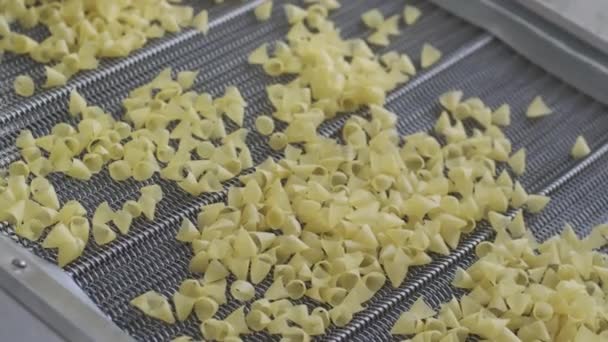 Production Factory Line Moves Golden Potato Chips Frying Slow Motion — Stock Video