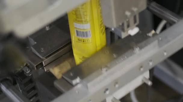 Snack Pouch Package Filling Sealing Machine Food Industry — Stock Video