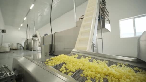 Productie Fabriek Lijn Beweegt Aardappel Snackes Productielijn Van Deegwarenfabriek Deegwaren — Stockvideo