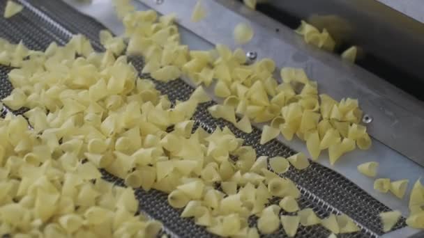 Production Factory Line Moves Potato Snackes Production Line Pasta Factory — Stock Video