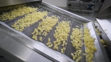 Üretim fabrikası, patates çerezlerini taşıyor. Makarna fabrikasının üretim hattı, makarna üretimi.