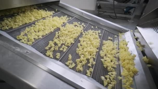 Línea Producción Fábrica Mueve Bocadillos Patata Línea Producción Fábrica Pasta — Vídeos de Stock