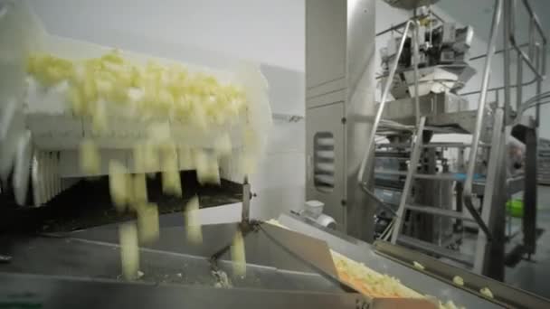 Production Factory Line Moves Potato Snackes Production Line Pasta Factory — Stock Video