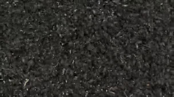 很多种子葵花籽烘焙机 油炸葵花籽从车里出来 粮食生产 — 图库视频影像