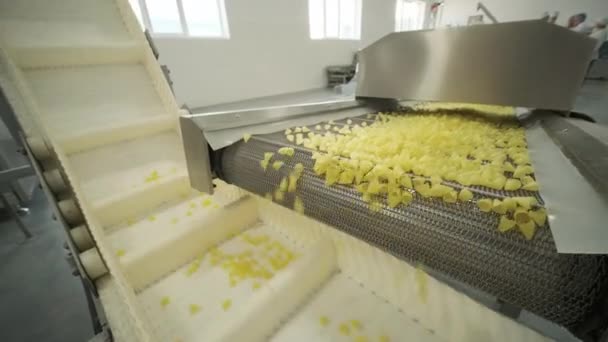 Productie Fabriek Lijn Beweegt Aardappel Snackes Productielijn Van Deegwarenfabriek Deegwarenproductie — Stockvideo