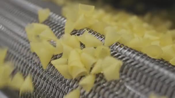 Production Factory Line Moves Potato Snackes Production Line Pasta Factory — Stock Video