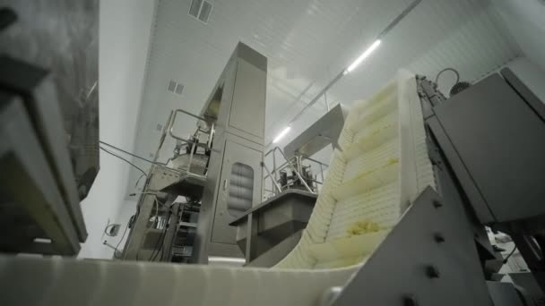 Línea Producción Fábrica Mueve Pasta Bocadillos Patata Línea Producción Fábrica — Vídeos de Stock