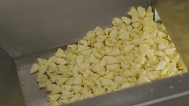 공장에서는 황금색 감자칩을 파스타 공장의 — 비디오