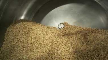 Many seeds. Sunflower seeds baking machine. Moving fried sunflower seeds are spinning in the machine. Food production