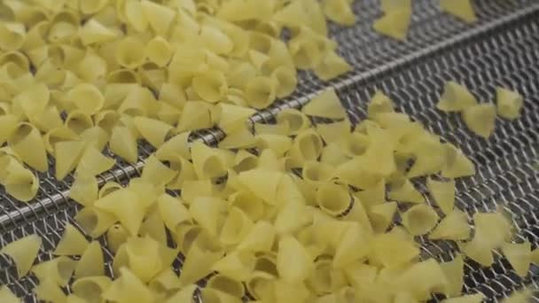 "Production factory line moves potato snackes. Production line of the pasta factory — Stok video