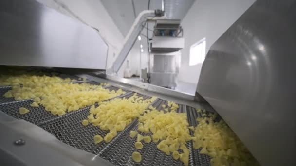 "Production factory line moves potato snackes. Production line of the pasta factory — Stok video