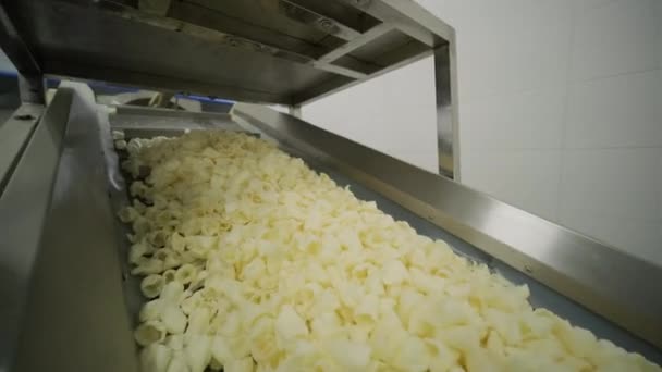 Linha de fábrica de produção move batatas fritas douradas após o ato de fritar. Linha de produção da fábrica de massas — Vídeo de Stock