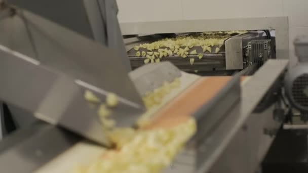 Производственная линия завода перемещает золотые картофельные чипсы после жарки. Производственная линия макаронного завода — стоковое видео