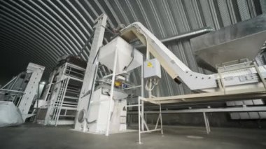 Tohum üretimi, tohum temizleme hattı